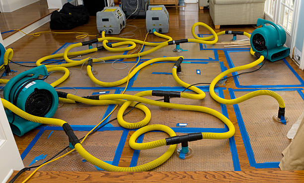 Professional Water Damage Repair technician working in Thornton, TX